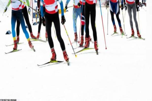 读书湖体育馆游泳培训的全面分析(图1)